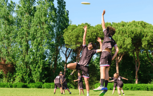 Frisbee Spielfeld Set Test: Die 10 besten (Bestenliste)